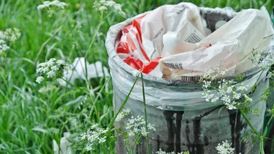 Une action pour "une ville plus propre" 