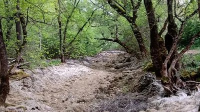 Sécheresse : Trois cours d'eau euréliens basculent en « crise »