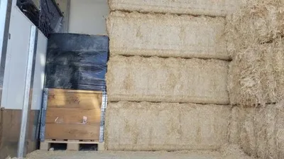 Saisie record sur l'A10 : plus de 240 kg de cocaïne interceptés par...
