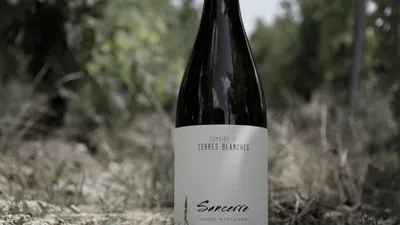 INSOLITE - Un vin de Sancerre en rupture de stock aux États-Unis