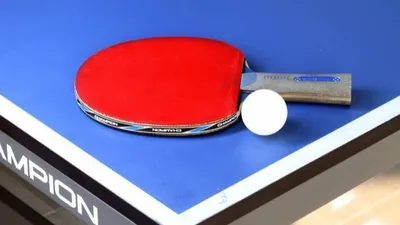 Tennis de table : le numéro 3 mondial en démonstration à Chartres