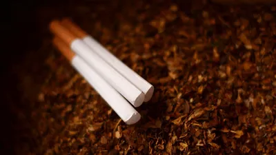 Un vaste trafic de cigarettes mis à l'arrêt 