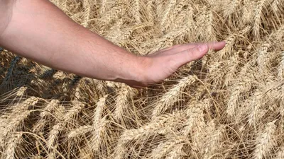 Un camion ambulant pour faciliter l’accès au monde agricole 