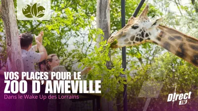 À GAGNER CETTE SEMAINE DANS LE WAKE UP DE L'ÉTÉ : VOS PLACES LE ZOO...