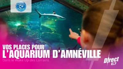 SORTIE : GAGNEZ VOS ENTRÉES POUR L'AQUARIUM D'AMNÉVILLE
