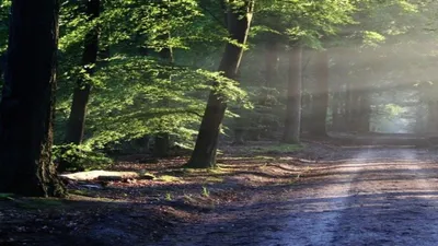 Feux de forêt en Gironde : ce qui change ce mardi 8 septembre avec...