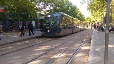 Tram, bus,  Le Bato : aucun transport TBM ne fonctionnera ce 1er mai