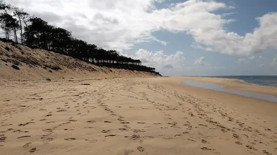 Teste-de-Buch : la plage du Petit Nice fermée à cause de l'érosion