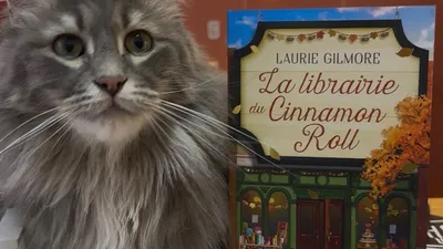 Bordeaux : une librairie Mon Chat Pitre ouvre au printemps
