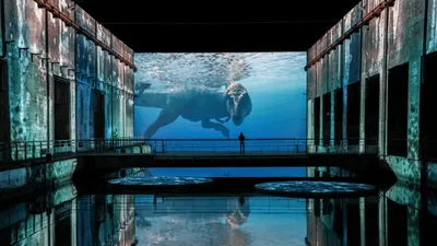 Bordeaux : les dinosaures s'invitent aux Bassins des Lumières dès...