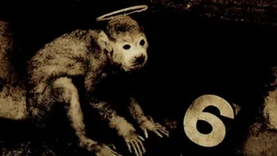 Il était une fois: "Monkey Gone To Heaven" par Pixies