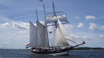 Bordeaux : un avant-goût de la Tall Ship Race avec l'arrivée de...