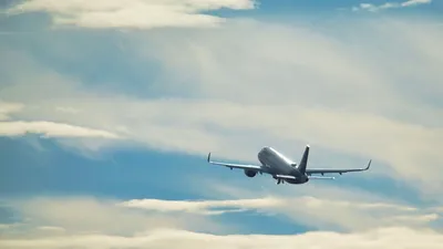 Cécile Kohler et Jacques Paris : quelles suites pour les ex-otages ?