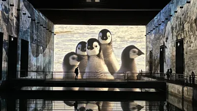 Bordeaux : dernière chance de voir ces expositions pendant les...