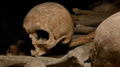 Les Catacombes de Paris rouvrent leurs portes