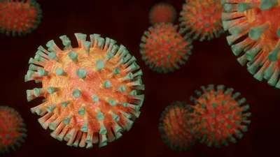Coronavirus MERS : les virus sont-ils plus nombreux qu'avant ?