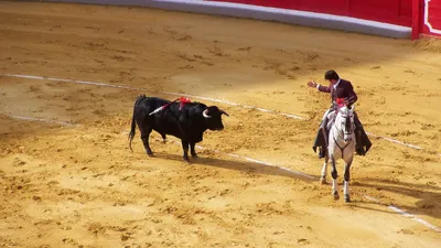 Mexico interdit la corrida avec mise à mort