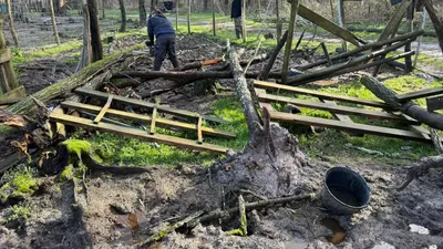 Landiras : le parc animalier Sud Gironde se remet du chaos après la...