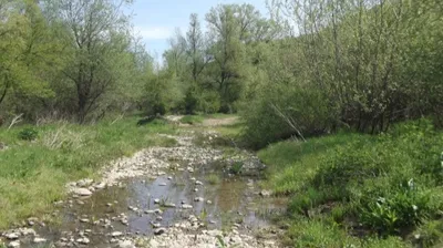 Sécheresse en Gironde : de nouvelles restrictions d’eau dans...