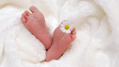 Singapour promet une grosse somme par enfant pour tenter de...