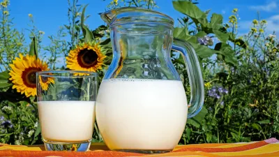 Canicule : le lait, allié inattendu pour mieux s’hydrater