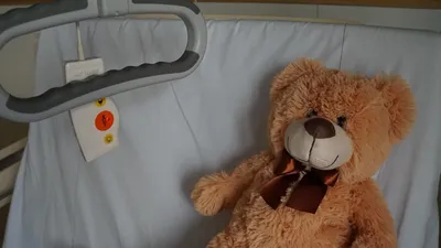 La belle histoire de Lloris, 7 ans, guéri d'un cancer du cerveau