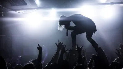 Selon une étude, les fans de musique préfèrent les concerts aux...