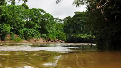 En Amazonie, une mystérieuse rivière fait bouillir des victimes...