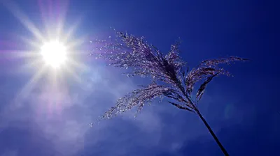 Vigilance orange canicule en Gironde : voilà les lieux pour se...