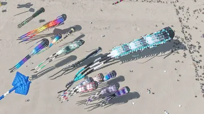 Berck-sur-Mer : double record du monde aux Rencontres...