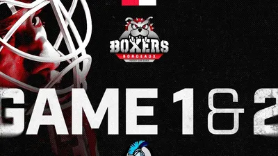 Hockey : bientôt les play-offs pour les Boxers de Bordeaux !