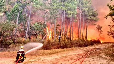 Le niveau de vigilance feux de forêt en Gironde abaissé en Jaune...