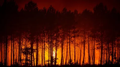 Incendies : le point de situation ce mardi 28 juillet