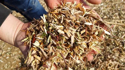 L’USTOM renforce son service de broyage à domicile