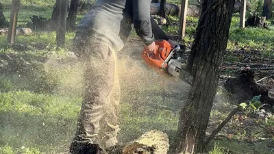 Le Parc Animalier de Landiras dévasté : il lance un appel aux dons