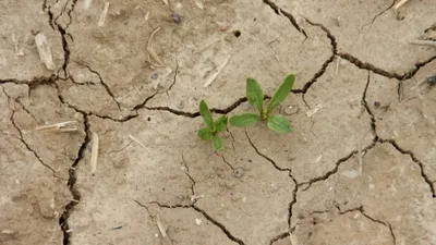 Lot-et-Garonne : reconnaissance de catastrophe naturelle pour de...