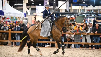 Angers. Bien-être animal, voltige et sauts d'obstacles au cœur du...