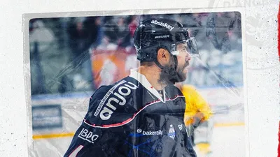 Ducs d'Angers. Antonin Manavian et Nick Ross ne sont pas renouvelés