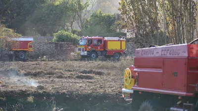 Saumurois. Le feu de forêt ne progresse plus, 100 hectares ont brûlé