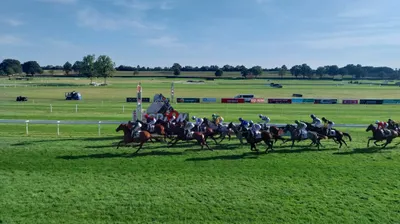 Les pronostics hippiques pour ce dimanche 30 novembre