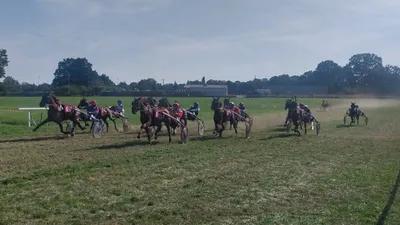 Les pronostics hippiques pour ce samedi 12 septembre