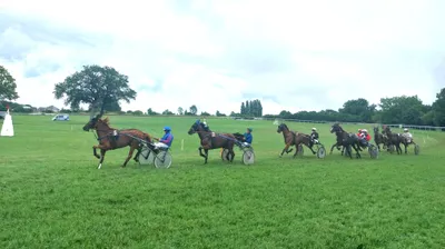 Les pronostics hippiques pour ce samedi 20 juin