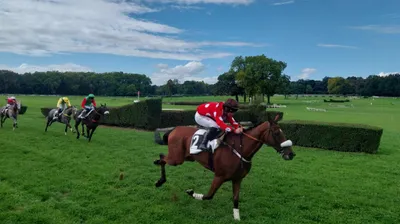 Les pronostics hippiques pour ce dimanche 7 juin