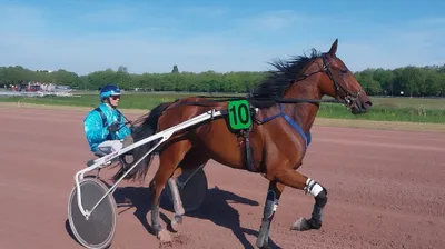 Les pronostics hippiques pour ce samedi 20 décembre
