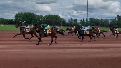 PODCAST. Les pronostics hippiques pour ce dimanche 18 janvier