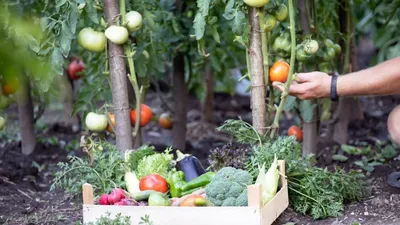 En Maine-et-Loire. Huit enquêtes contre la vente et l’utilisation...