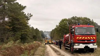 Gennes-Val-de-Loire. Un nouvel incendie dans la forêt de Milly