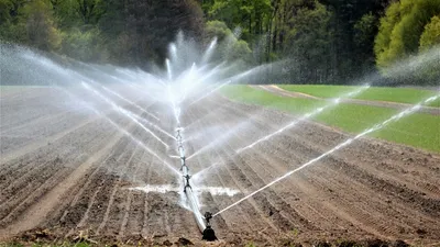 Agriculture. Le guichet pour bénéficier du fonds de réarmement...