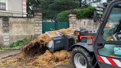 Segré-en-Anjou Bleu. Le Leclerc tagué, du fumier devant la...