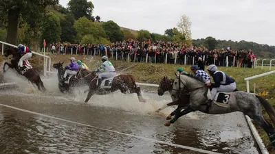 Nuillé-sur-Vicoin : 80 ans de passion pour les courses hippiques